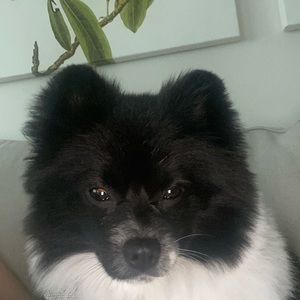 Meet your Posher, Joanna